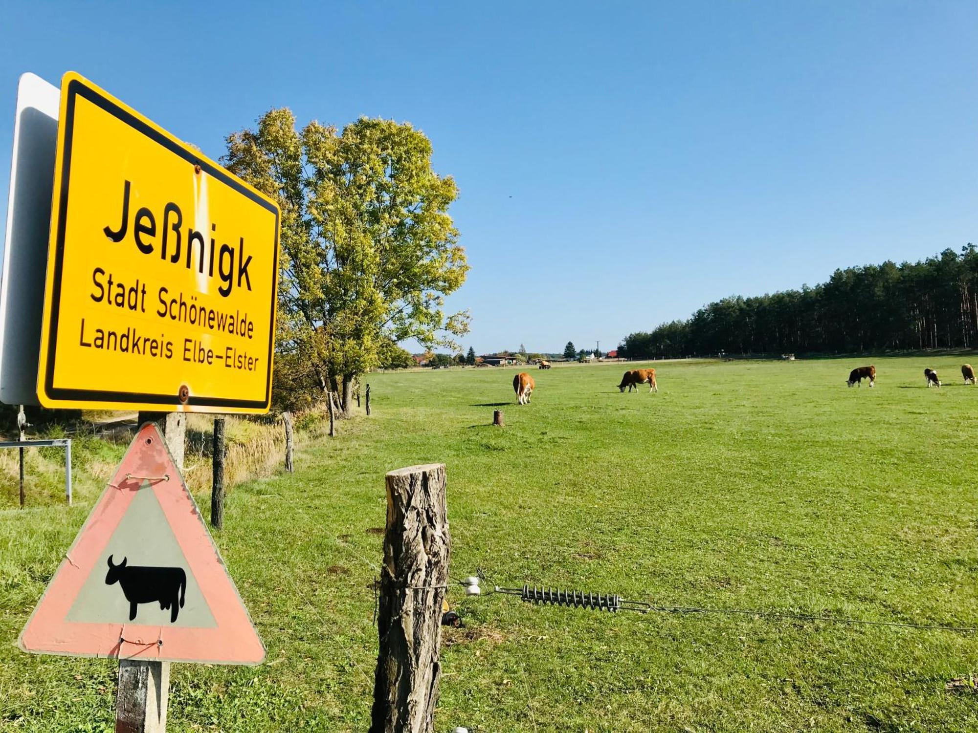 Top-Moderne Ferienwohnung Und Apartments Auf Frueherem Wunderschoenen Bauernhof Im Elbe-Elster-Kreis In Brandenburg Bei Herzberg-Elster, Schoenewalde, Holzdorf Exteriör bild